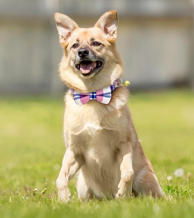 KUDES 2 Pack/Set Dog Collars with Bow Tie and Bells, Adjustable Cute Dog Bow Ties Collar for Small/Medium/Large Boys and Girls Pets (Pink+Blue, L(14.2''-21.7''))