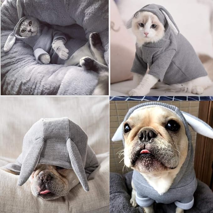 ANIAC Pet Hoodie Cat Rabbit Outfit with Bunny Ears Cute Sweatshirt Spring and Autumn Puppy Knitted Sweater Kitty Soft Knitwear (XXL-Large, Grey)