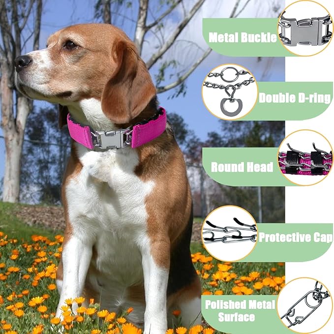 Adjustable Dog Collar with Quick Release Buckle for Small Medium Large Dogs