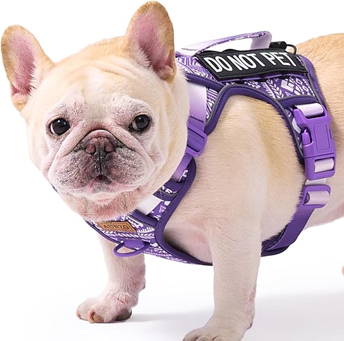 Small Dog No Pull Harness for French Bulldog Puggle Terriers, Pet Harness with Reflective Strip Soft Padded Handle, Adjustable Vest Harness for Walking Hiking Training, Geometric Pattern, Purple, S