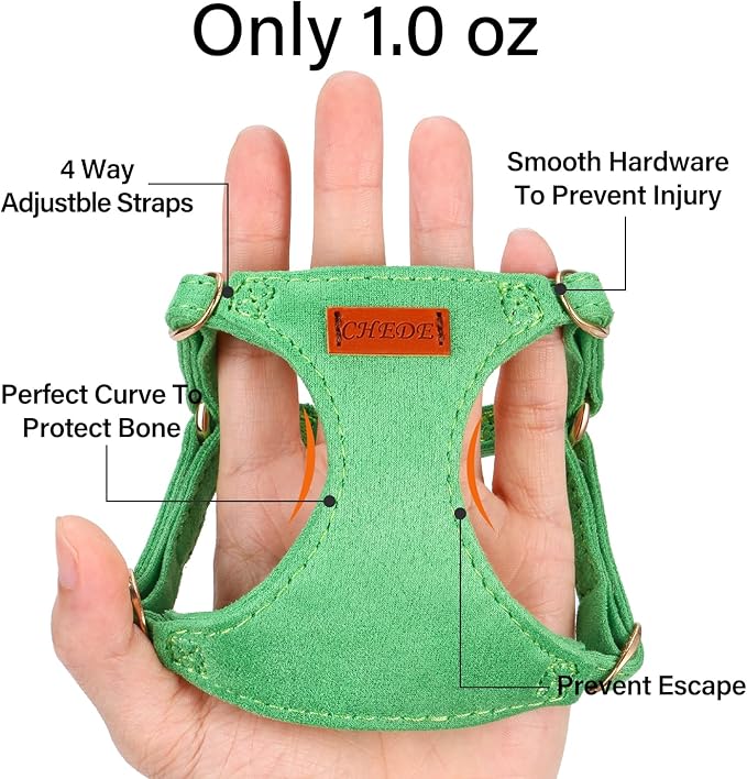 No Pull Dog Harness- Lightweight, Soft, Adjustable Small Harness Collar and Leash Set, Suitable for Cats Puppy Small and Medium-Sized Dog Outdoor Training and Running (Green, XXS)