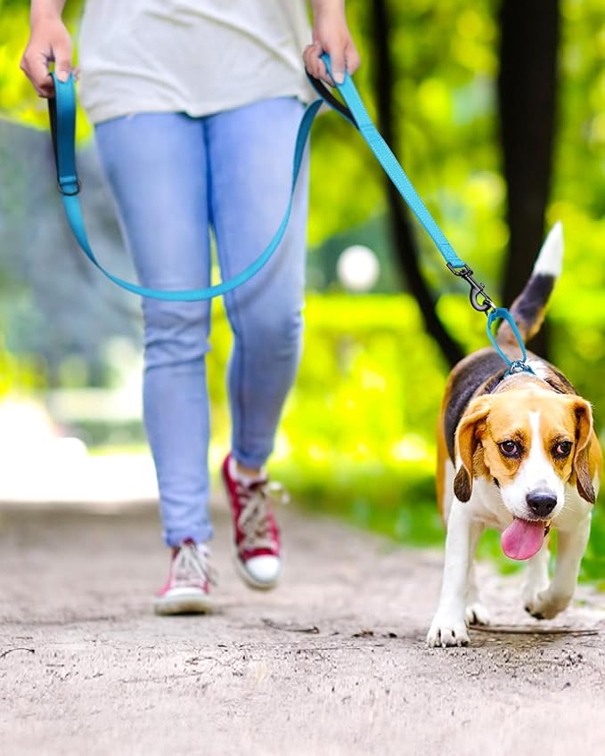 FunTags Reflective Martingale Collar for Dogs, Quick Release Buckle, 5FT Double Handle Dog Leash Padded, Dog Collar and Leash Set, Adjustable for Puppy Dogs (Sky Blue, XS)