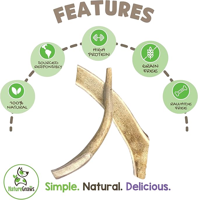Nature Gnaws Antlers for Dogs (8oz) - Mix of Elk and Deer Antler - Variety of Split and Whole Pieces - Long Lasting for Aggressive Chewers and Large Dogs
