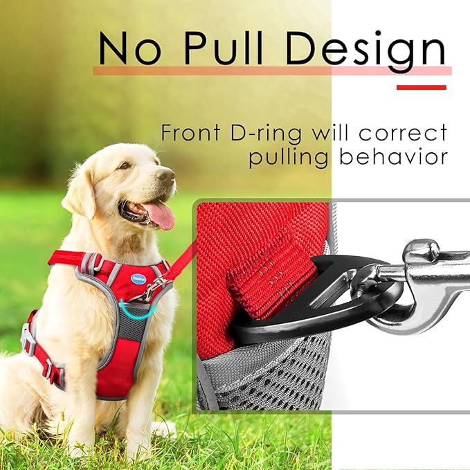 ThinkPet No Pull Harness Set Breathable Sport Harness with Handle - Reflective Padded Dog Safety Vest with Reflective Neon Dog Leash S Harness Leash Pack Red