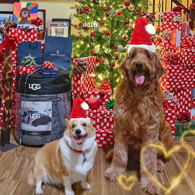 ANIAC Dog Christmas Hat for Medium Large Dog Pet Christmas Outfit Stand up Santa Hat for Dog Kids Santa Costume for Golden Retriever Great Dane Labrador German Shepherd Pitbull (Red Hat, Large)