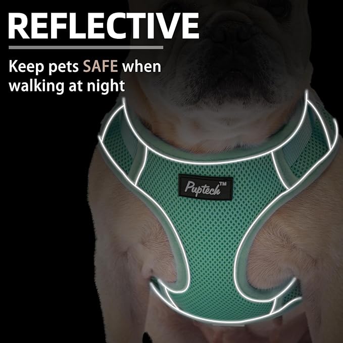 PUPTECK Dog Harness and Leash Set for Small Medium Dogs No Pull, Soft Mesh Adjustable Puppy Cat Harness Reflective at Night, Green M