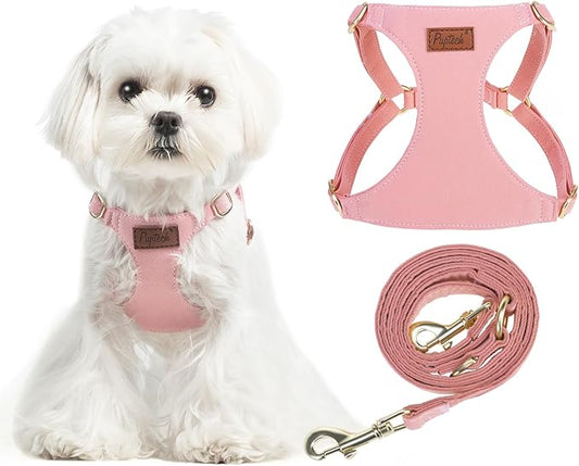 PUPTECK Dog Harness and Leash Set Small Sized, Step-in Cute Puppy Harness, Soft Lightweight Padded Vest, Escape Proof No Pull Pet Harnesses Easy for Walking, Pink, XXS