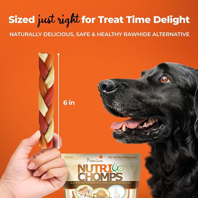 NutriChomps Dog Chews, 6-inch Braids, Easy to Digest, Rawhide-Free Dog Treats, Healthy, 10 Count, Real Chicken, Peanut Butter and Milk flavors