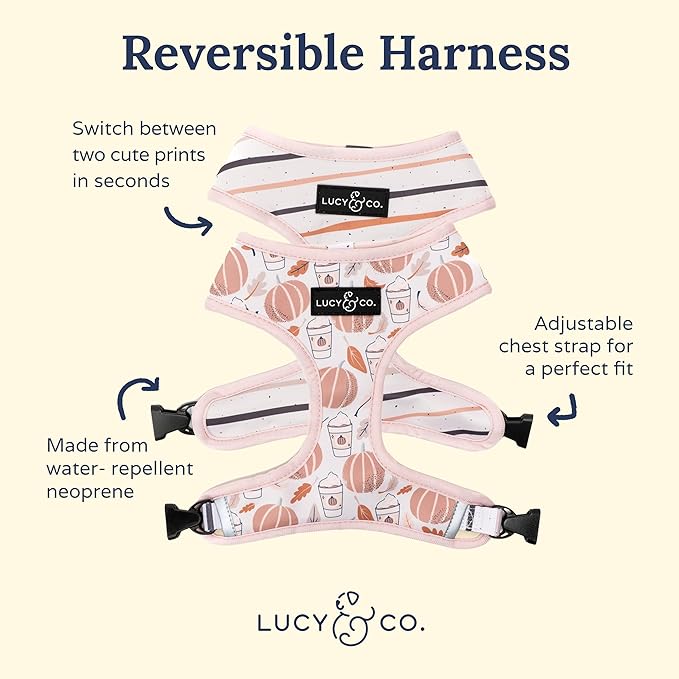 Lucy & Co. Cute Reversible Dog Harness Walking Halter - Best Designer Pet Harnesses for XS - XL Dogs - Padded Adjustable Vest for Easy Walking (Small, Awesomely Autumn - White & Orange Pumpkins)