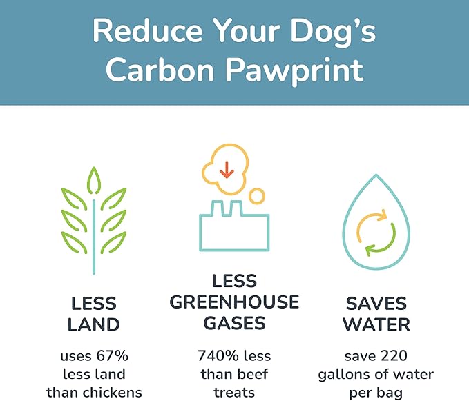 Jiminy's Chewy Training Treats for Dogs, Low Calorie, Hypoallergenic Insect Protein, Made in USA, 6oz, Peanut Butter & Cranberry (Pack of 1)