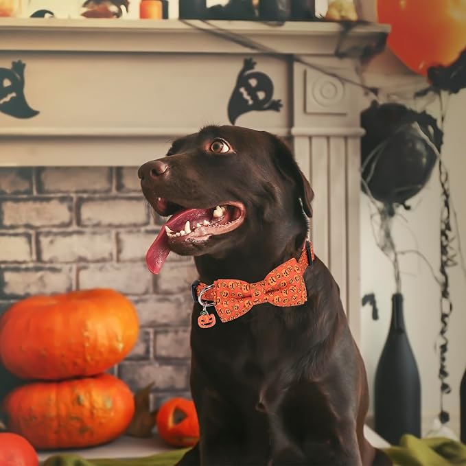 ADOGGYGO Halloween Dog Collar with Detachable Bow, Adjustable Orange Pumpkin Halloween Bowtie Collars for Small Medium Large Dogs (Large)