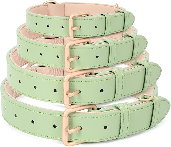 WHIPPY Leather Dog Collar for Small Medium Large Dog Adjustable Soft Breathable Leather Padded Puppy Collar with Alloy Buckle Heavy Duty Waterproof Classic Dog Pet Collar,Green,S