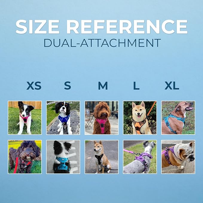 No Pull Dog Harness for Large Dogs, Dual Leash Attachments, Adjustable Soft but Strong Pet Harness with 3M Reflective Technology, Turquoise Nylon, L (Chest: 25-30")