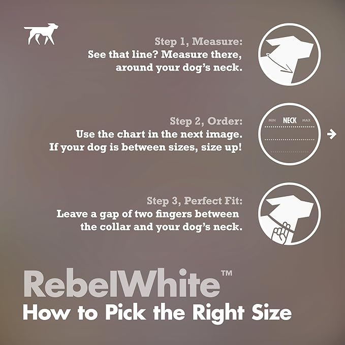 Tuff Pupper Premium Adjustable Dog Collar for Large Girl Dogs, Stylish Pattern Collars Designed in USA, Quick Release Buckle, RebelWhite Print for Female Dogs, Large (1 Inch Wide x 18-26 Inch Neck)