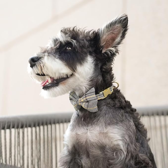 Beirui Cute Small Dog Harness Collar and Leash Set with Bowtie, Soft Adjustable Plaid Puppy Harness for Small Sized Dogs Cats Walks Parties and Photoshoots(Gray,XS:Chest 13-18")