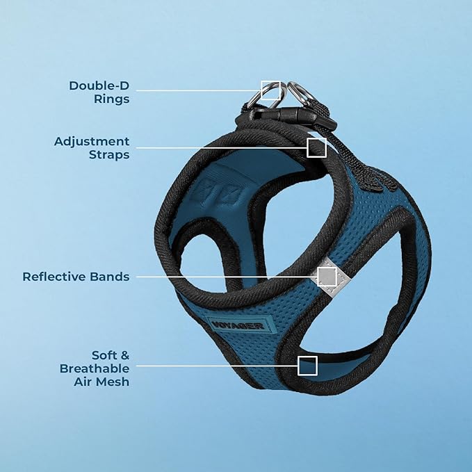Voyager Step-in Air Dog Harness - All Weather Mesh, Reflective, No Pull Harness for Small, Medium Dogs, Cats - Secure with Hook & Loop Fastener, Buckle, Double D-Rings - Blue/Black Trim, XXXS
