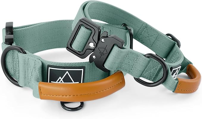 Made to ROAM Premium Explorer Control Collar - Adjustable Heavy Duty Nylon Dog Collar with Quick-Release Metal Buckle and Handle (Florida Seaside, Control Size 5)