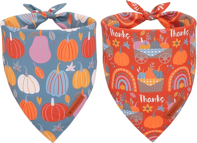 ADOGGYGO Thanksgiving Dog Bandana - Blue Orange Pumpkin Scarf, Adjustable Fit Fall Bandanas for Medium Large Dogs Pets (Large)
