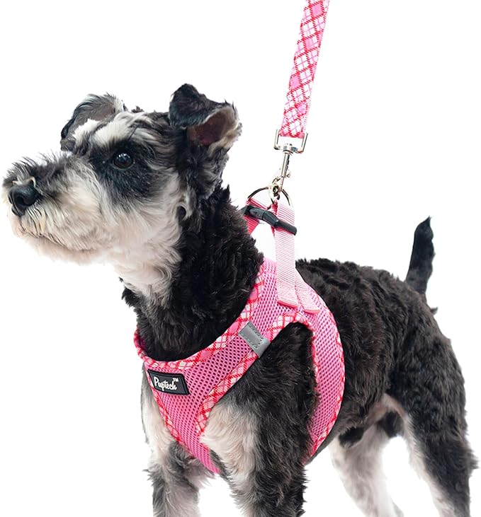 PUPTECK Dog Harness and Leash Set for Small Medium Dogs No Pull Step-in Soft Mesh Puppy Cat Vest Harnesses Reflective at Night, Pink XS