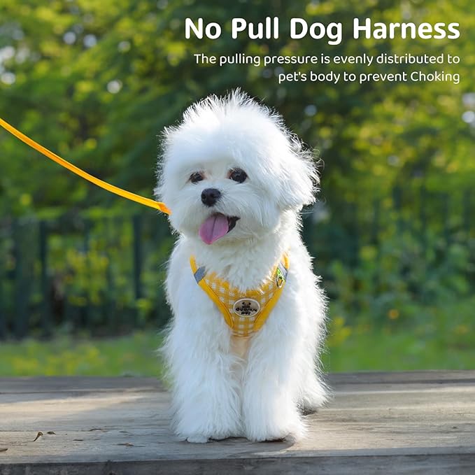 Gyuzh Dog Harness and Leash Set,Soft Mesh Breathable Small Dog Harness,Reflective Adjustable Puppy Harness,No Pull Pet Harness for Small Dogs and Cats