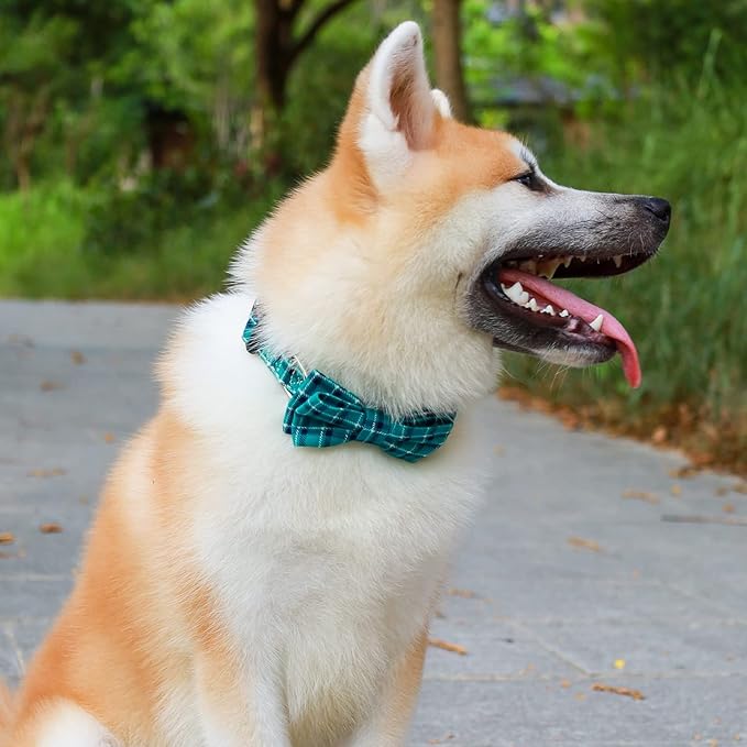 Faleela Soft &Comfy Bowtie Dog Collar,Detachable and Adjustable Bow Tie Collar,for Small Medium Large Pet (Small (Pack of 1), Green)