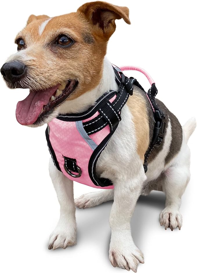 No Pull Dog Harness, Reflective Walking Dog Harness with Easy Control Handle and Front & Back Clips,Adjustable Breathable Soft Padded Dog Vest Harness for Large Medium Small Dogs,Pink,S