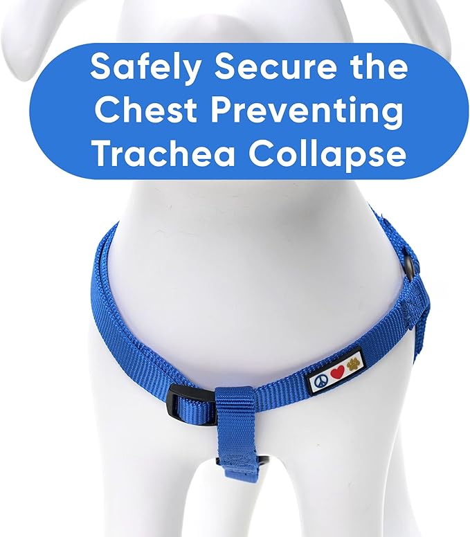 Pawtitas Pet Solid Color Step in Dog Harness or Vest Harness Dog Training Walking of Your Puppy Harness Extra Small Dog Harness Blue Dog Harness