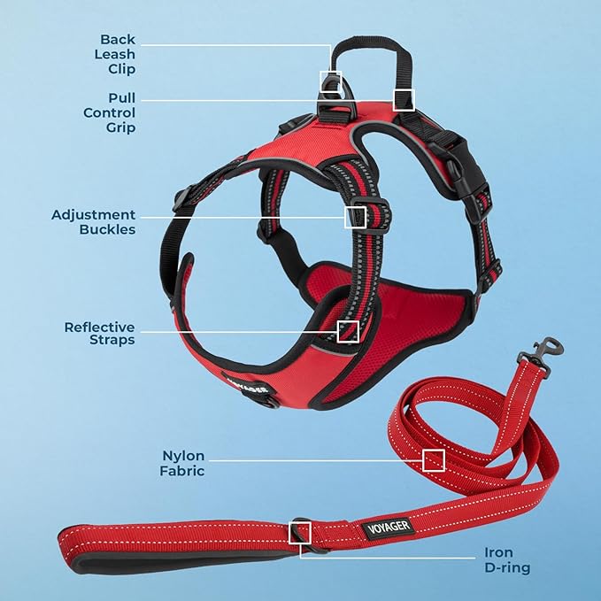 Dog Harness Dual Leash Attachment No-Pull Control Adjustable Soft but Strong Pet Harness for Medium and Large Dogs with 3M Reflective Technology - Harness Leash Set (Red Lattice), XS