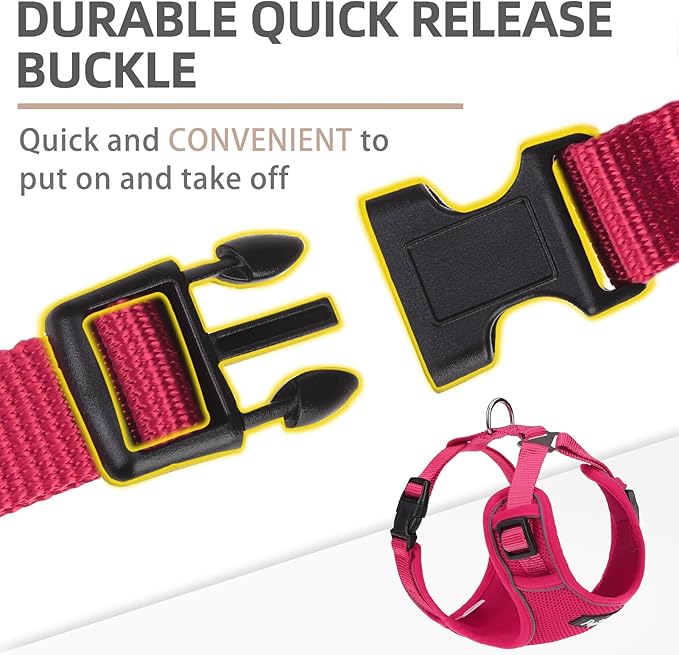 PUPTECK Dog Harness and Leash Set for Small Medium Dogs No Pull, Soft Mesh Adjustable Puppy Cat Harness Reflective at Night, Fuchsia XS