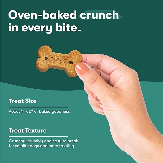 Jinx Oven-Baked Chicken Bone Broth Biscuit Treats, Crunchy, All Natural, Superfood-Rich with Real Chicken, Pumpkin & Blueberries, 16oz