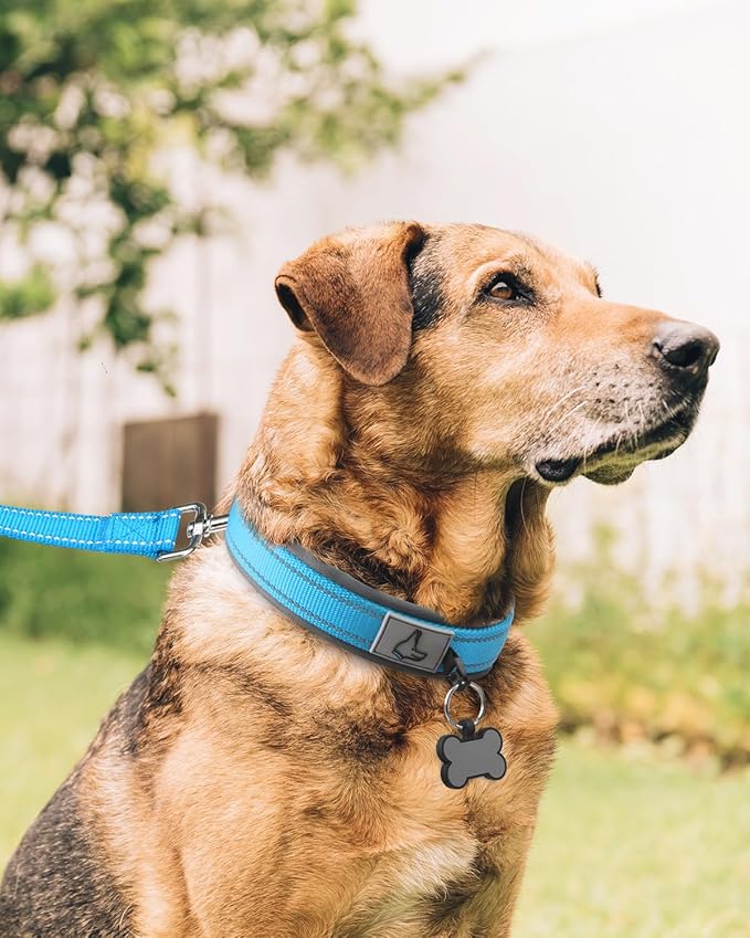 Joytale Dog Collar for Extra Large Dogs, Neoprene Padded and Adjustable, Reflective Wide Heavy Duty Pet Collars with Durable Metal Belt Buckle for Walking, Sky Blue, XL