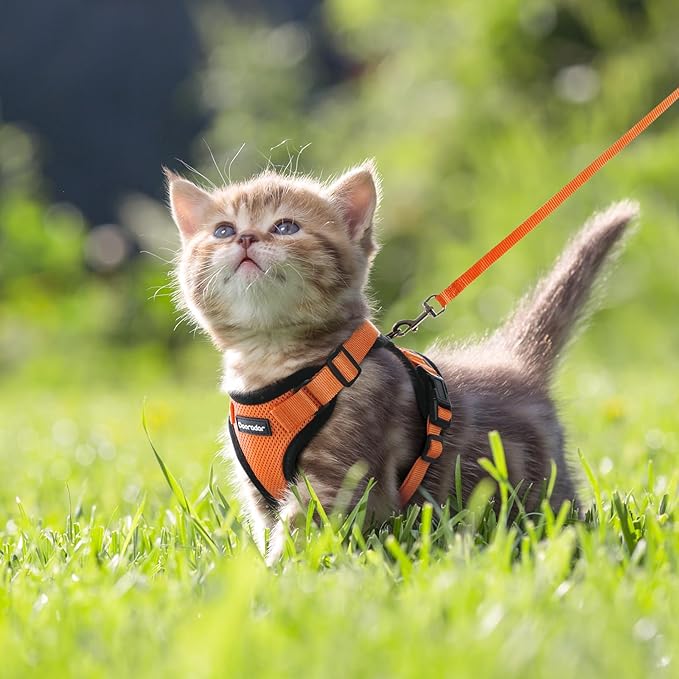 Dooradar Cat Harness and Leash Set, Escape Proof Safe Adjustable Kitten Vest Harnesses for Walking, Easy Control Soft Breathable Mesh Jacket with Reflective Strips for Cats, Orange, XXS