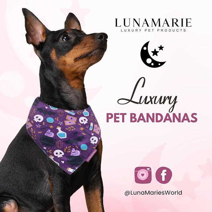 Luxury Dog Bandanas - Cute Witch Magic Design | Premium & Silky Fabric | 100% Handmade | Custom Shape Dual Layered Reversible Small, Medium, Large Cat Scarf (Bewitched, Medium)