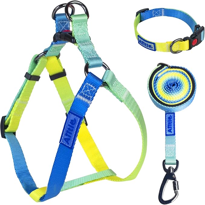AIITLE No Pull Dog Harness & Leash & Collar - Adjustable Basic Collar with A Heavy Duty Leash - Super Sturdy Buckle and D Ring - Training Running for Large Dogs, Blue Gradient L