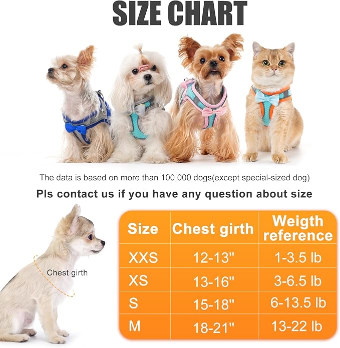 Dog Harness with Leash Set, Step-in Breathable Puppy Cat Dog Vest Harnesses, No Pull Adjustable Reflective Puppy Harness with Soft Padded Vest for Extra-Small/Small Medium Large Dogs and Cats