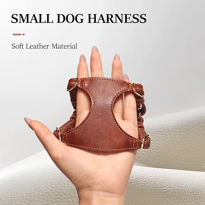 Didog Small Dog Harness and Leash Set, Soft & Lightweight Dog Vest Harness, Adjustable Leather Dog Harness for Small Dogs, Brown, XXS
