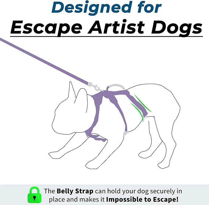 Escape Proof Dog Harness and Leash Set, Lightweight Dog Harness with Lift and Assist Handle, No Pull Reflective Pet Vest for Small Medium Dogs, Ideal for Puppy Walking and Training (Purple, M)