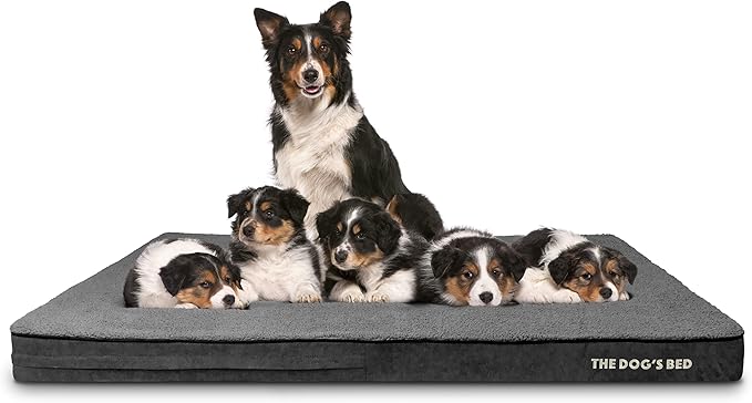 The Dog’s Bed Orthopedic Memory Foam Jumbo Dog Bed, XXXL Grey Plush 64x44, Pain Relief for Arthritis, Hip & Elbow Dysplasia, Post Surgery, Lameness, Supportive, Waterproof Washable Cover