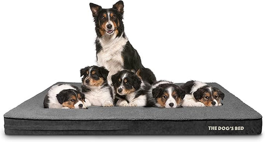 The Dog’s Bed Orthopedic Memory Foam Jumbo Dog Bed, XXXL Grey Plush 64x44, Pain Relief for Arthritis, Hip & Elbow Dysplasia, Post Surgery, Lameness, Supportive, Waterproof Washable Cover