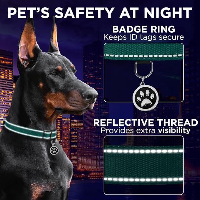 TECEUM Reflective Pet Collar – Dark Emerald Green – S – Extra Soft Padding – Nylon Dog Collar – Quick Release Buckle – Fits Small, Medium and Large Dogs, Puppies, Cats – ESA & Service Dog Options