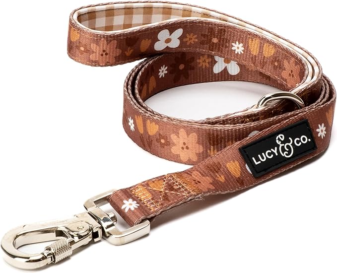 Lucy & Co. 5 Foot Designer Dog Leash for Small, Medium or Big Dogs or Puppies Puppy – Pet Accessories & Supplies –(Chocolate Meadow, Large)