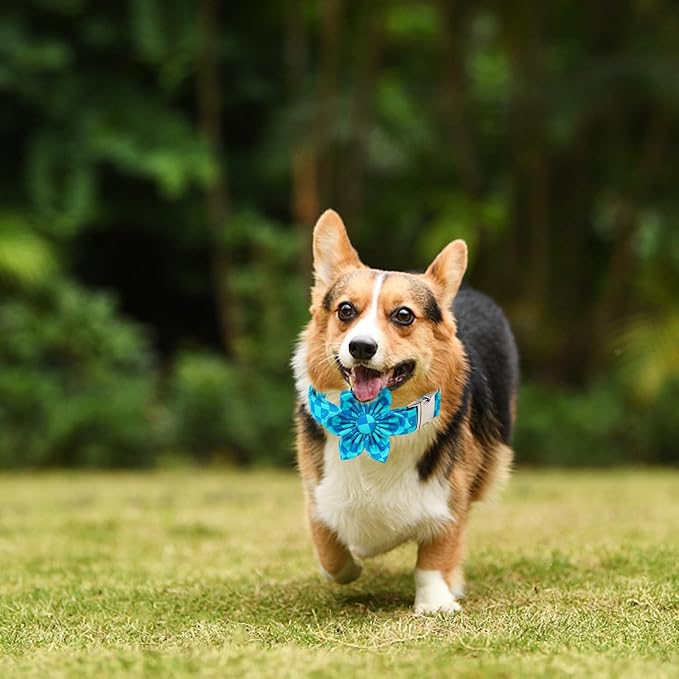 Maca Bates Checkered Plaid Mint Green Blue Dog Grid Collar with Flowers for Dogs Adjustable Breakaway Cute Plaid Collars Accessories Gift for Small Medium Large XL Puppy with Golden Metal Buckle