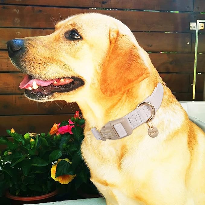Faleela Dog Collar - Cute & Comfy Cotton Pet Collar, Adjustable Lightweight Design with Quick-Release Buckle, for Small, Medium & Large Dogs - Multiple Styles Available (Small, Beige)