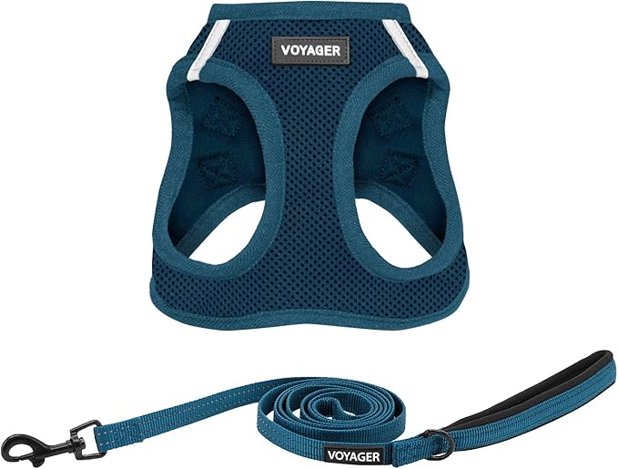 Voyager Step-in Air All Weather Mesh Harness and Reflective Dog 5 ft Leash Combo with Neoprene Handle, for Small, Medium and Large Breed Puppies by Best Pet Supplies - Set (Blue), XL