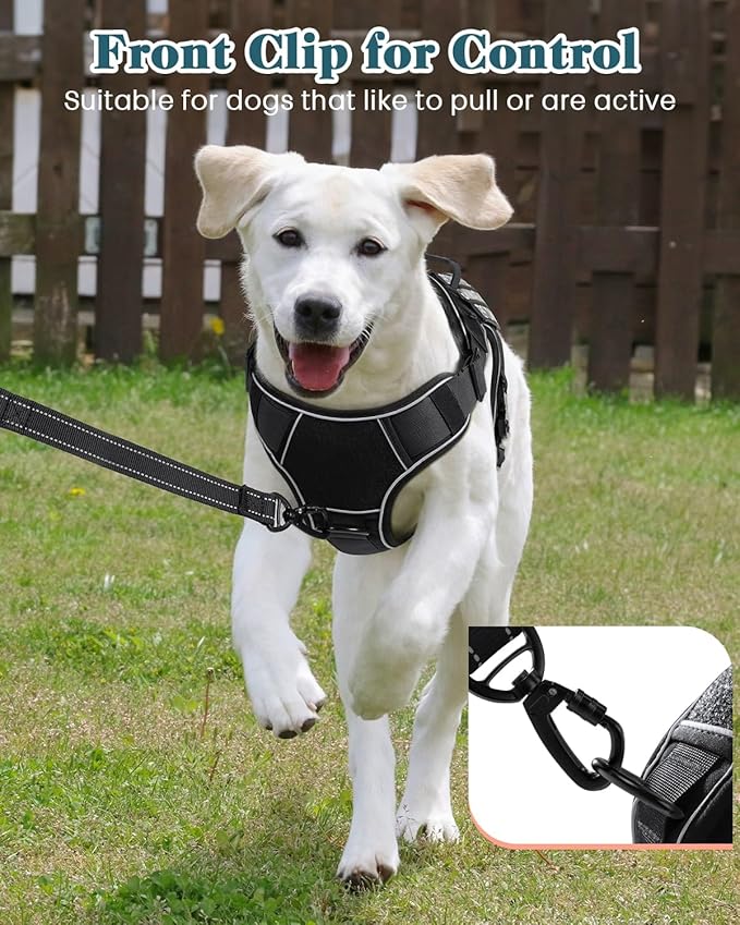 Reflective Service Dog in Training Vest Harness for Medium Large Dogs, Adjustable Heavy Duty Padded Black Dog Harness, with Front Clip and Metal Buckles Do Not Pet for Training, Hiking