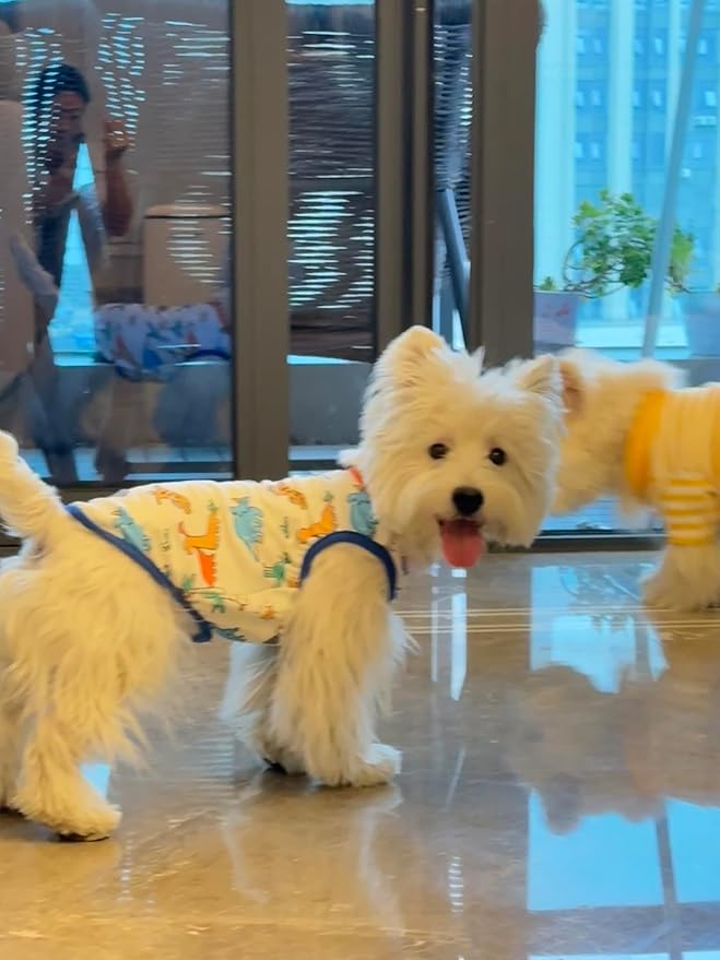 Dog Clothes Puppy Cute Dinosaur Pet Shirt Dog Vest Cat Clothes Doggie Boy Girl T Shirts for Small Dogs Cat Teacup Chihuahua Yorkie (Dino Vest, Small)