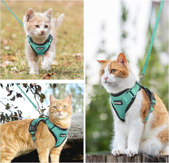 Dooradar Cat Harness and Leash Set, Escape Proof Safe Adjustable Kitten Vest Harnesses for Walking, Easy Control Soft Breathable Mesh Jacket with Reflective Strips for Cats, Green, XS