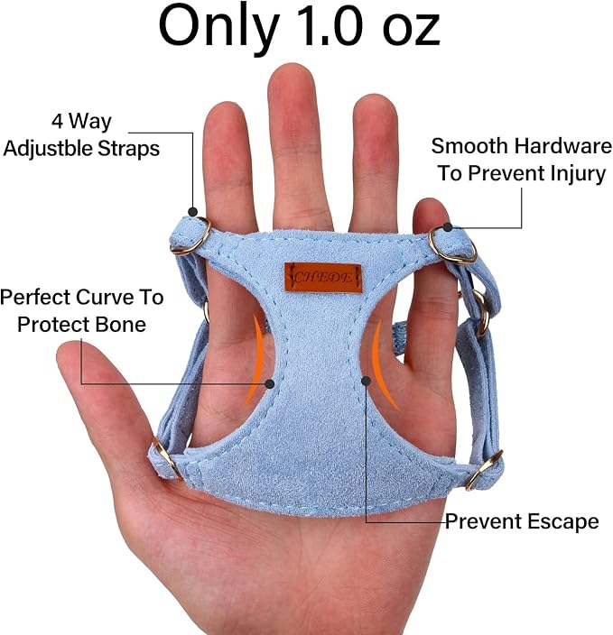 CHEDE No Pull Puppy Harness and Multifunction Dog Leash Set- 8 Colors Soft Adjustable No Choke Escape Proof Cute,Lightweight Pet Vest Harness for Small and Medium Dog (XXS, Blue)