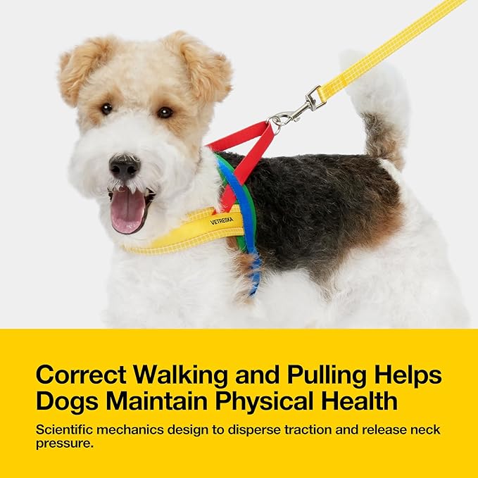 VETRESKA MoMA Dog Harness for Medium Large Dogs, Easy Walk Dog Harness and Leash Set, No Pull Dog Vest Harness for Walking and Training, Adjustable, Take Control & Anti-Twist Pet Lead Combo(Yellow, M)