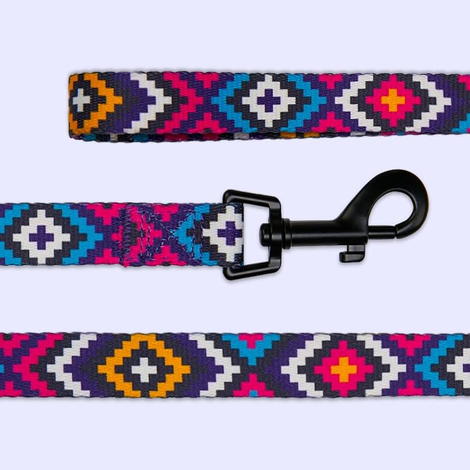 CollarDirect Aztec Dog Leash Nylon Tribal Pattern Cat Pet Leashes for Small Medium Large Dogs Puppy Lead 5 FT Long for Walking (Pattern 1, L, New)